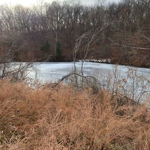 Meet your Posher, Levi